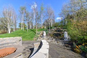 Photo 41- click for photo gallery